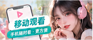 使用与安装指南视觉主题